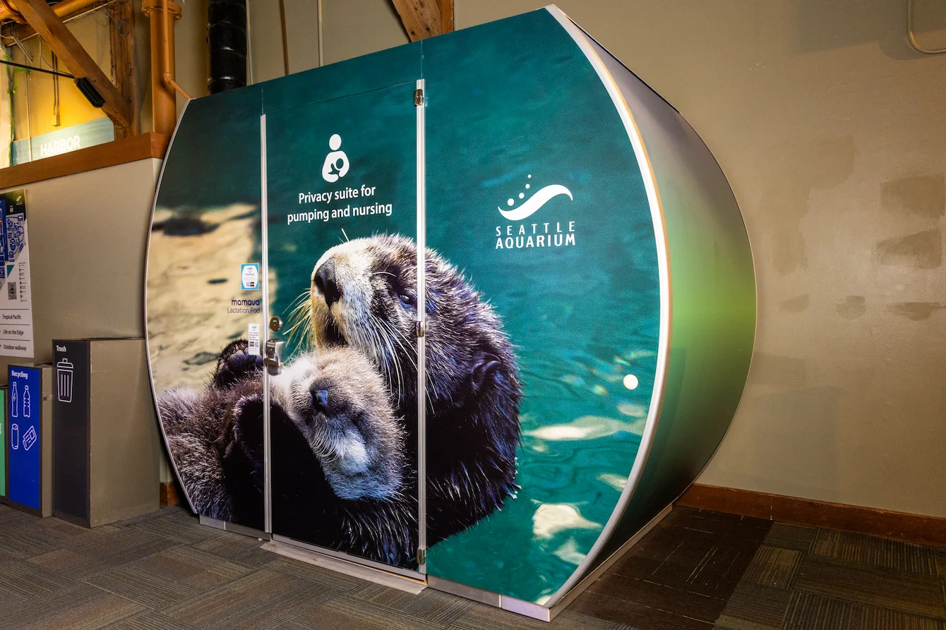 A private nursing pod, covered in a large graphic of a sea otter, located at the Seattle Aquarium.